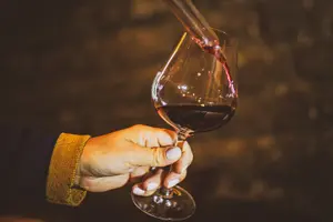 Tour image of Full-Day Private Wine Tour in Côte de Nuits