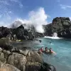 Image of Pack Animal Tours