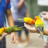 Image of Nature and Wildlife Tours