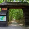Image of Nature Walks