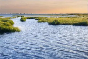 Tour image of Hilton Head Island Ocean Dolphin Cruise