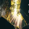 Image of Caving