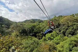 Tour image of Zipline Simple A Trial Of Our Zipline 30 Minutes