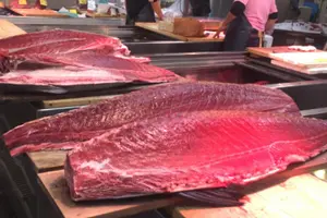 Tour image of Sushi-Making Experience at ’Activity Maison Kissako’