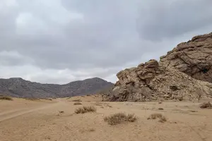 Tour image of Full Day Private Jeep Tour to Elsen Tasarkhai, Semi-Gobi