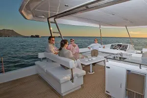 Tour image of VipDolphins Luxury Whale Watching