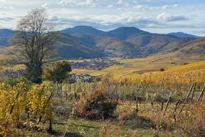 Tour image of Medieval Alsace and Wine Tasting from Colmar