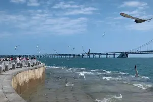 Tour image of 11-Day Relax Private Trip of Northeast China From Harbin