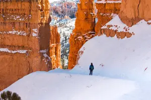 Tour image of Bryce Canyon Full Day Private Tour & Hike