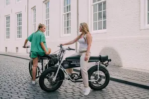 Tour image of Electric Fatbike Full Day Rental in Breda