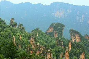 Tour image of National Forest Park Avatar Mountain Day Tour