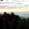 Image of Wildlife Encounters
