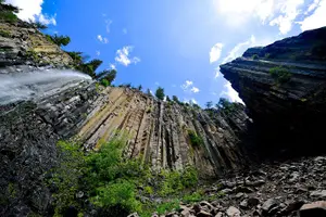 Tour image of Private Yellowstone Wolf Watching & Wildlife Safari + lunch