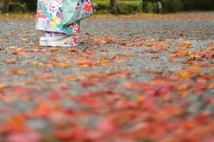 Tour image of Fukui private full day/Photoshoot by professional photographer