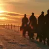 Image of Pack Animal Tours
