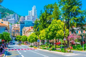 Tour image of Private Tour Hidden Gems, Art & Monumental Trees from Monaco