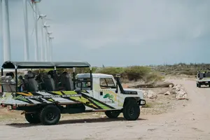 Tour image of Aruba Signature Jeep Tour: Natural Pool and Baby Beach