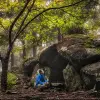 Image of Archaeology Tours