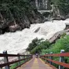 Image of Nature Walks