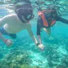 Image of Snorkeling