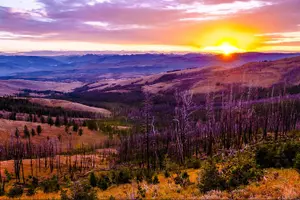 Tour image of 6-Day Yellowstone and Mount Rushmore Tour from Salt Lake City