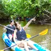 Image of Kayaking Tours