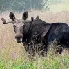 Image of Seasonal