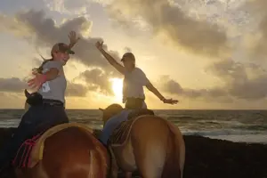 Tour image of Aruba Ecological Horseback Ride