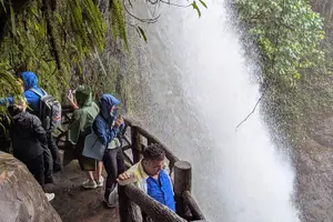 Tour image of La Paz Waterfall Gardens and Wildlife Refuge Tour from San Jose
