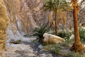 Image of Saudi Arabia