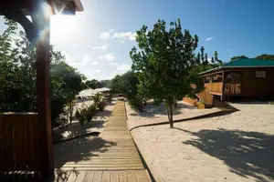 Tour image of Adventure Power Boat Tour Antigua and Private Laviscount Island