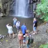 Image of Swimming