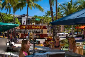 Tour image of Best of Miami Combo: Everglades, Bay Cruise, & Open-top Bus Tour