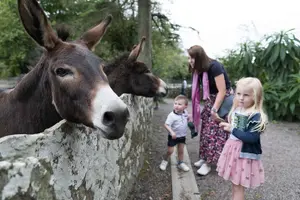 Tour image of Dublin to Cliffs of Moher, Ennis Town & Bunratty Castle Day Tour