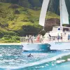 Image of Catamaran Cruises
