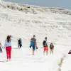 Image of Eco Tours