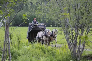 Tour image of Sleigh Ride w/ snacks - Experience Arctic Farm Life