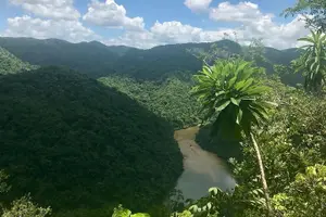 Tour image of Jungle Pontoon Waterfall Adventure Tour
