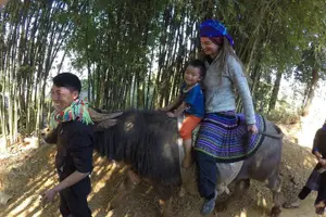 Image of Vietnam