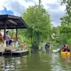 Image of Plantation Tours