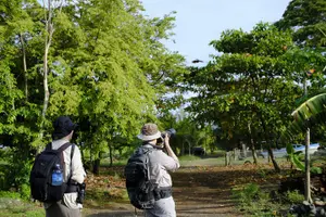 Tour image of Jaco Birdwatching and Photography with Sergio
