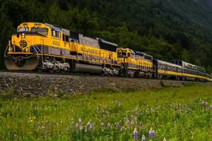 Tour image of Alaska Railroad Anchorage to Seward Round-Trip Same Day Return