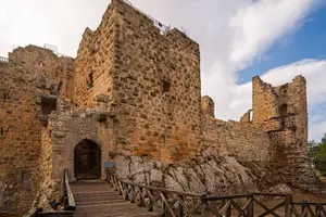 Tour image of Day tour to Jerash and Ajloun Castle