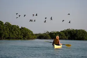 Tour image of Kayak Eco Tour
