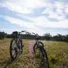 Image of Mountain Bike Tours