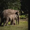 Image of Nature and Wildlife Tours