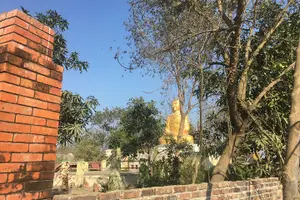 Tour image of Half Day Mayadevi Temple Tour in Lumbini
