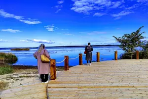 Tour image of Go West – Private 1 Day Trip to West Coast