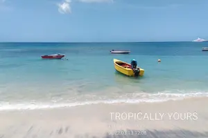 Tour image of "Tropically Yours"