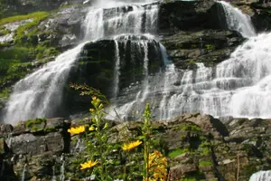 Tour image of Guided Fjord & Glacier Tour - From BERGEN